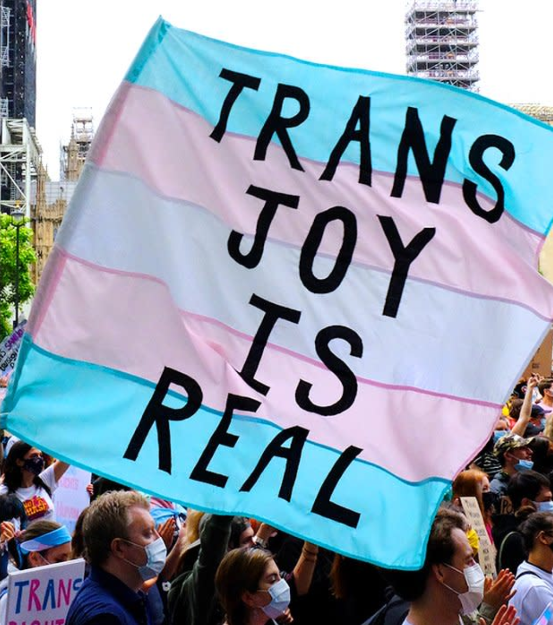 Trans Joy: Because Apparently Happiness is Now a Conspiracy Theory