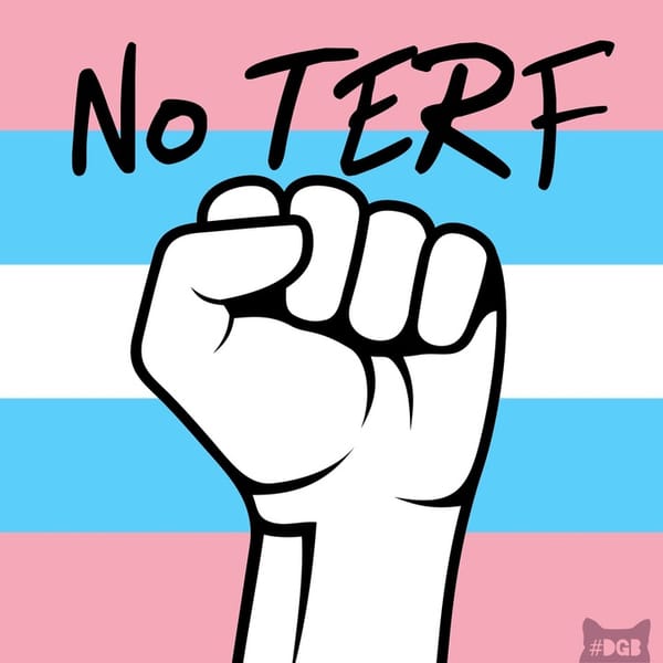 The Inconvenient Truth TERFs Won't Acknowledge: 7 Years Later, Their Arguments Still Don't Hold Up