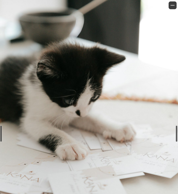 When Your Sources Prove You Wrong